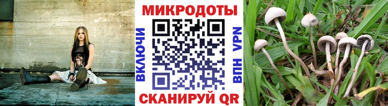 Псилоцибиновые грибы мицелий  omg онион  Терек  цена наркотик 